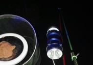 河流夜钓技巧及方法有哪些？如何提高夜钓成功率？