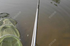室内钓鱼找底技巧教程（室内钓鱼找底技巧分享）