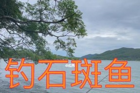 疫情期间钓鱼的最佳方法与技巧（掌握钓鱼的精髓）