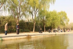 仲春降温钓鱼技巧（战寒技巧助你畅享冬季钓鱼乐趣）