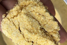 如何使用玉米棒作为钓鱼打窝技巧？教程中常见问题有哪些？