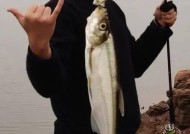 河流野钓技巧（掌握这些技巧）