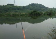 福建冬天钓鱼的技巧和方法是什么？如何应对冬季钓鱼的挑战？