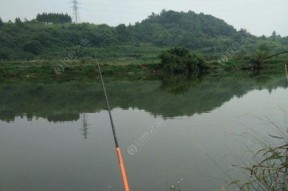 福建冬天钓鱼的技巧和方法是什么？如何应对冬季钓鱼的挑战？