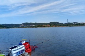 浑浊河流野钓技巧（钓友必备的技巧和经验分享）