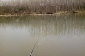 中秋天气野钓技巧（结合天气条件提高钓鱼成功率）
