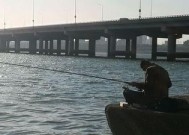 江口桥钓鱼技巧教学（钓鱼技巧）