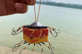 翻板法钓鱼技巧有哪些？如何提高翻板钓鱼的成功率？