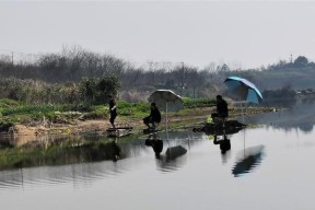 湍急水流下的钓鱼技巧（挑战流水中的渔获与你共享钓鱼乐趣）