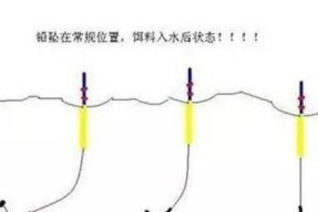 浮萍钓白条鱼技巧和方法是什么？如何提高钓获率？