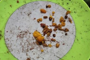 不用漂的钓鱼技巧有哪些？如何提高钓鱼成功率？