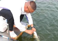 海钓鱼饵自制技巧（掌握关键，丰富渔获）
