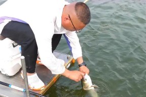 海钓鱼饵自制技巧（掌握关键，丰富渔获）