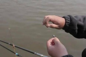 如何正确进行钓浮挂双钩调漂？掌握这些技巧轻松上鱼！
