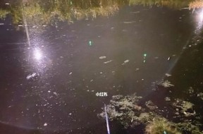 初冬串钩夜钓鲤鱼技巧是什么？如何提高成功率？
