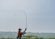 河里野钓技巧教程？如何提高钓鱼成功率？