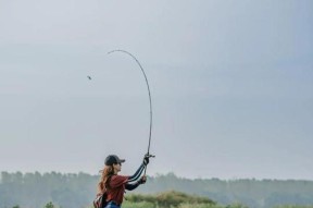 河里野钓技巧教程？如何提高钓鱼成功率？