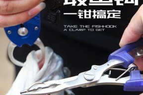 如何快速掌握钓鱼小鱼摘钩技巧？教程中有哪些常见问题解答？