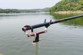 池塘海杆钓鱼技巧有哪些？如何提高钓鱼成功率？