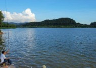 蜂子沟水库钓鱼技巧有哪些？如何提高钓鱼成功率？