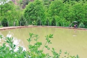 冰窟钓鲤鱼技巧教程？如何提高冰钓鲤鱼的成功率？