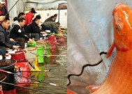 黑坑钓鱼技巧之一是什么？如何提高黑坑钓鱼的成功率？