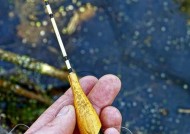 风大钓鱼时如何调整漂浮技巧？有哪些常见问题及解决方法？