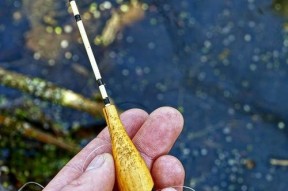 风大钓鱼时如何调整漂浮技巧？有哪些常见问题及解决方法？