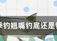 钓鱼小技巧：如何从钓底转变为钓浮？