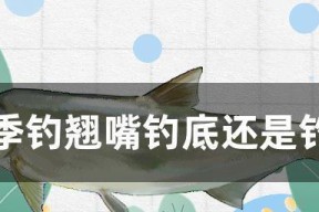 钓鱼小技巧：如何从钓底转变为钓浮？