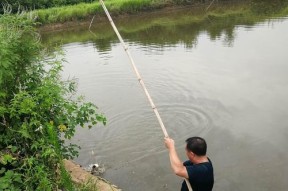 秋季阴天钓鱼的技巧（提高钓鱼成功率的五大要点）