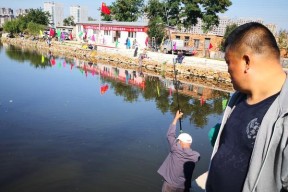 点钓鱼的池塘技巧有哪些？如何选择最佳池塘进行垂钓？