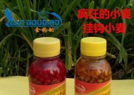发酵麦子钓鱼效果好吗？如何正确使用发酵麦子作为鱼饵？