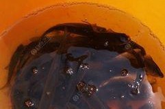 草洞钓鱼方法与技巧有哪些？如何提高钓鱼成功率？