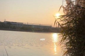 方块钓鱼料钓鱼技巧有哪些？如何提高钓鱼效率？