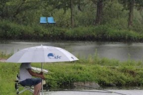 如何搜索钓鱼技巧？掌握哪些关键词能提高搜索效率？