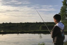 发大水后如何钓鱼？掌握哪些技巧能提高渔获？