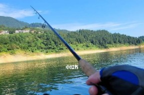 夏日水热钓鱼技巧（畅享夏日钓鱼乐趣）