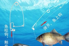 如何选择适合钓海鱼的钩子？钓海鱼钩有哪些技巧？
