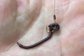 鱼钩使用技巧大全（从入门到精通）