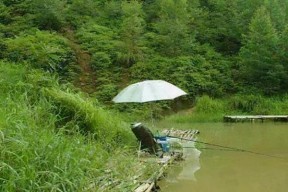 钓鱼定律与技巧（提升钓鱼技能的秘诀）