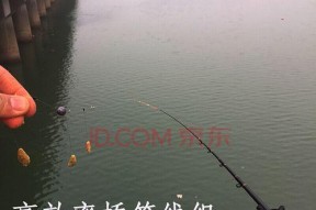 仲春串钩钓鱼技巧大揭秘（轻松掌握的钓鱼技巧）