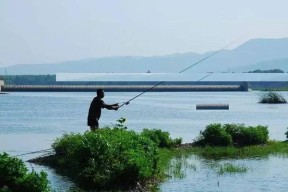 钓鱼小技巧（掌握钓鱼技巧，提升钓鱼成功率）