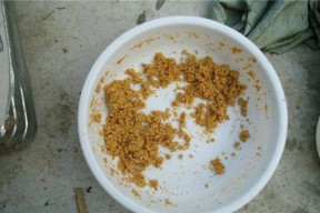 钓鱼时如何正确使用窝料调漂？常见问题有哪些？
