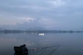 钓鱼技巧（钓鱼的乐趣）