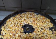 发酵老玉米钓鱼技巧有哪些？如何正确使用提高钓鱼效率？