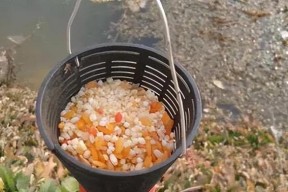春季钓鱼拉饵技巧教学？如何提高钓鱼成功率？