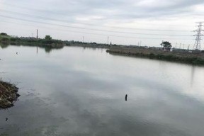 雨前钓鱼技巧教学（掌握雨前钓鱼技巧）