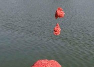 浮游矶钓调漂技巧是什么？如何正确调整浮漂？