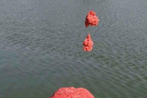 浮游矶钓调漂技巧是什么？如何正确调整浮漂？